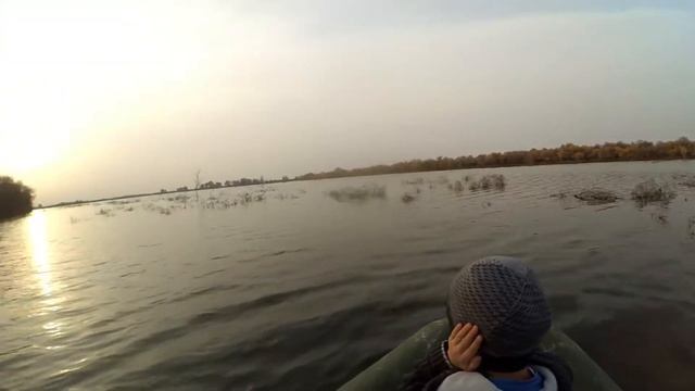 Охота на утку в домашних условиях смотреть онлайн