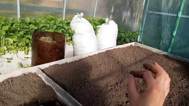 Подготовка грунта перед высадкой томатов. смотреть онлайн