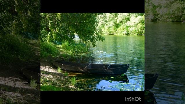 Павло Тичина  "Гаї шумлять"
