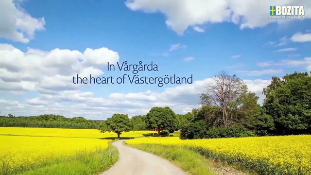 Сухой корм Bozita для собак смотреть онлайн