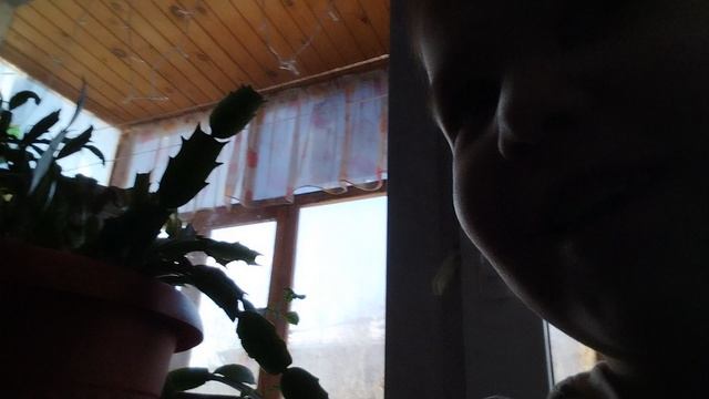 роликпрокулипроким