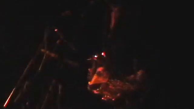 Autonervous live @ UCOD Festival, Münster Germany 15-09-2006 смотреть онлайн