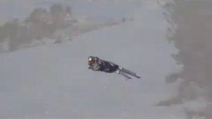 Трасса 18 Харакири Майрхофен