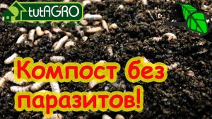 КОМПОСТ БЕЗ ВРЕДНЫХ ПАРАЗИТОВ и ЛИЧИНОК!