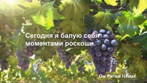 КОД ЖИЗНИ. День 20. Марафон Изобилия. Д.Чопра