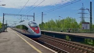 Высокоскоростной поезд Сапсан проезжает станцию Алабушево в Санкт-Петербург (21.05.2024). #train