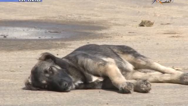 Как в Московской области соблюдаются права человека? смотреть онлайн