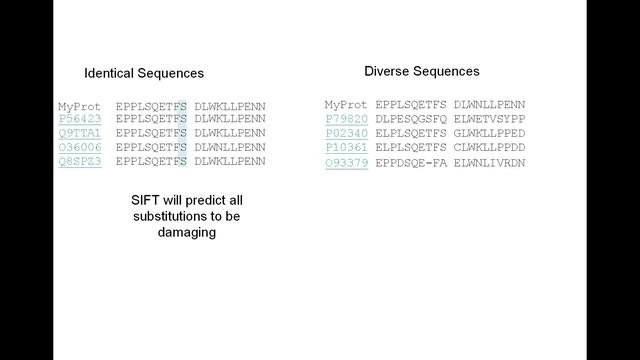Understanding SIFT Scores смотреть онлайн