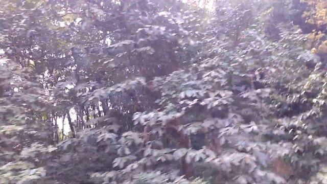 Reaching Goa on train Добраться до Гоа на поезде VID 20171111 132346360 смотреть онлайн