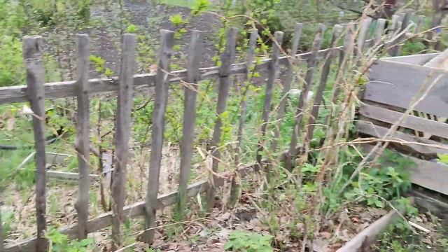 Огород в Мае. На Даче После Дождя. Сею Астру. Классная дача. смотреть онлайн
