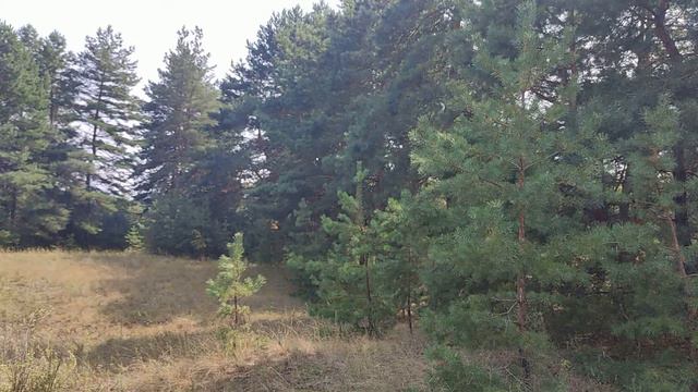 10 Законов Мироздания, по которым работает Вселенная...