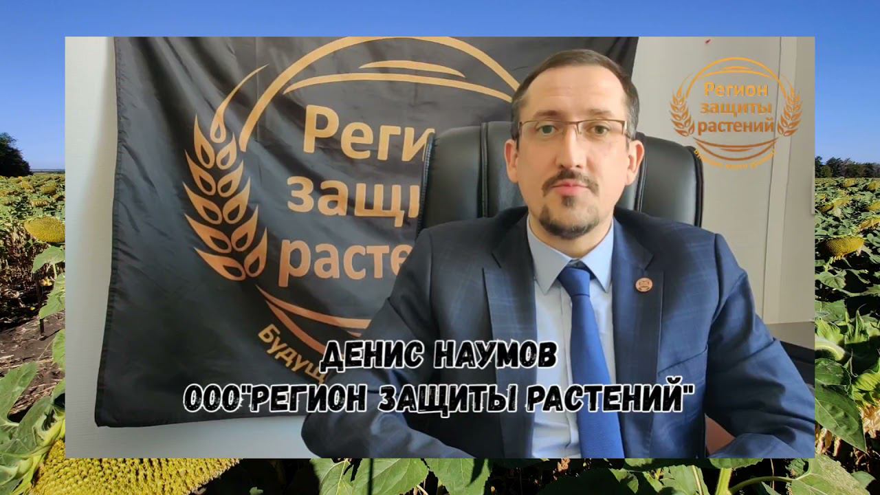 Основные правила посева подсолнечникаТипичные ошибки и как их избежатьРегион Защиты Растений