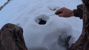 ловля окуня зимой на мормышку.