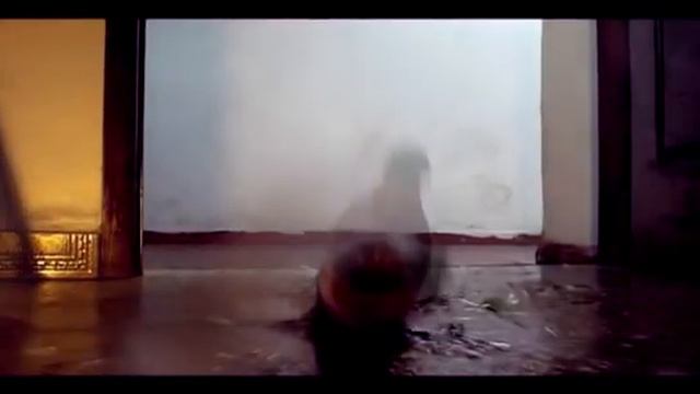 VERBENA E LIMÃO (Curta-metragem) - Dir. Lucas Sá e Lucas Kurz смотреть онлайн