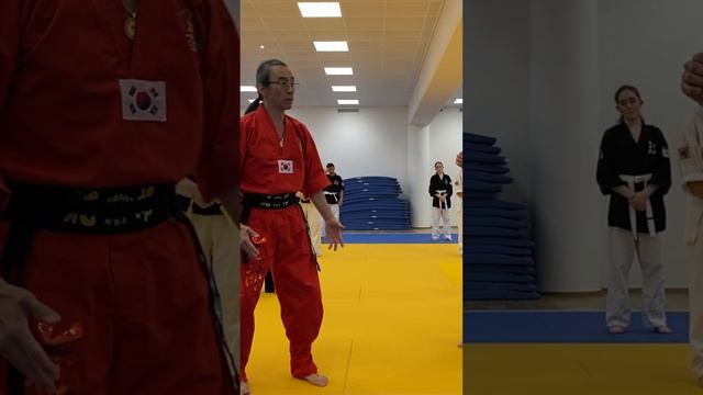 Inside Full-moon setup for Low Kicks: Hwa Rang Do® Kicking w/Grandmaster Taejoon Lee смотреть онлайн