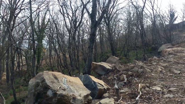 Продажа в Алуште дешевого участка с видом на море 8 соток 1 500 000 руб. +7 978 738-60-39