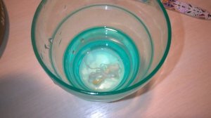 Ленточный червь