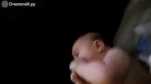 Пёс щекочет ребенка