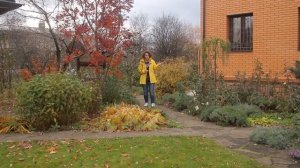 Сад в Октябре I Сад Людмилы Кудасовой