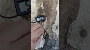 Audi A4, ремонт фар своими руками.