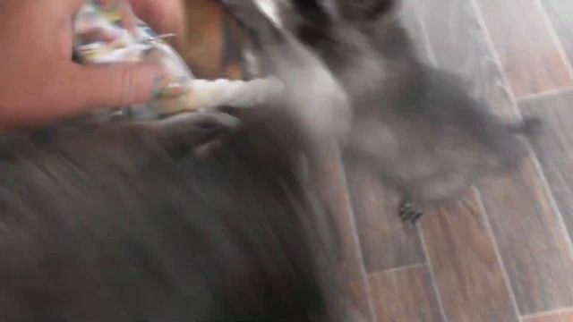 BLOG /Крым/ Судак /Енототерапия /Елена Фурц смотреть онлайн