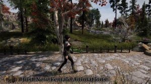 Best Skyrim Mods (SE & LE) - Female Animations: Walking and Running