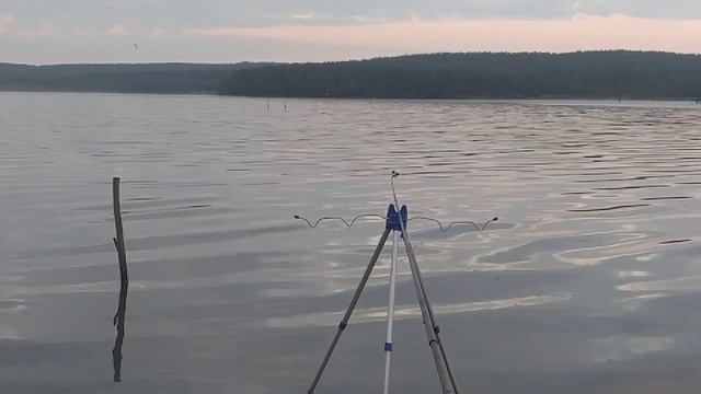 Волчихинское водохранилище. Вторая серия. Остров Липовый.