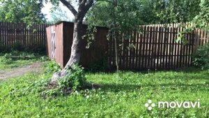 В чем причина потери молодых цыплят/ Падеж двух месячного молодняка/ Павловские курочки мрут