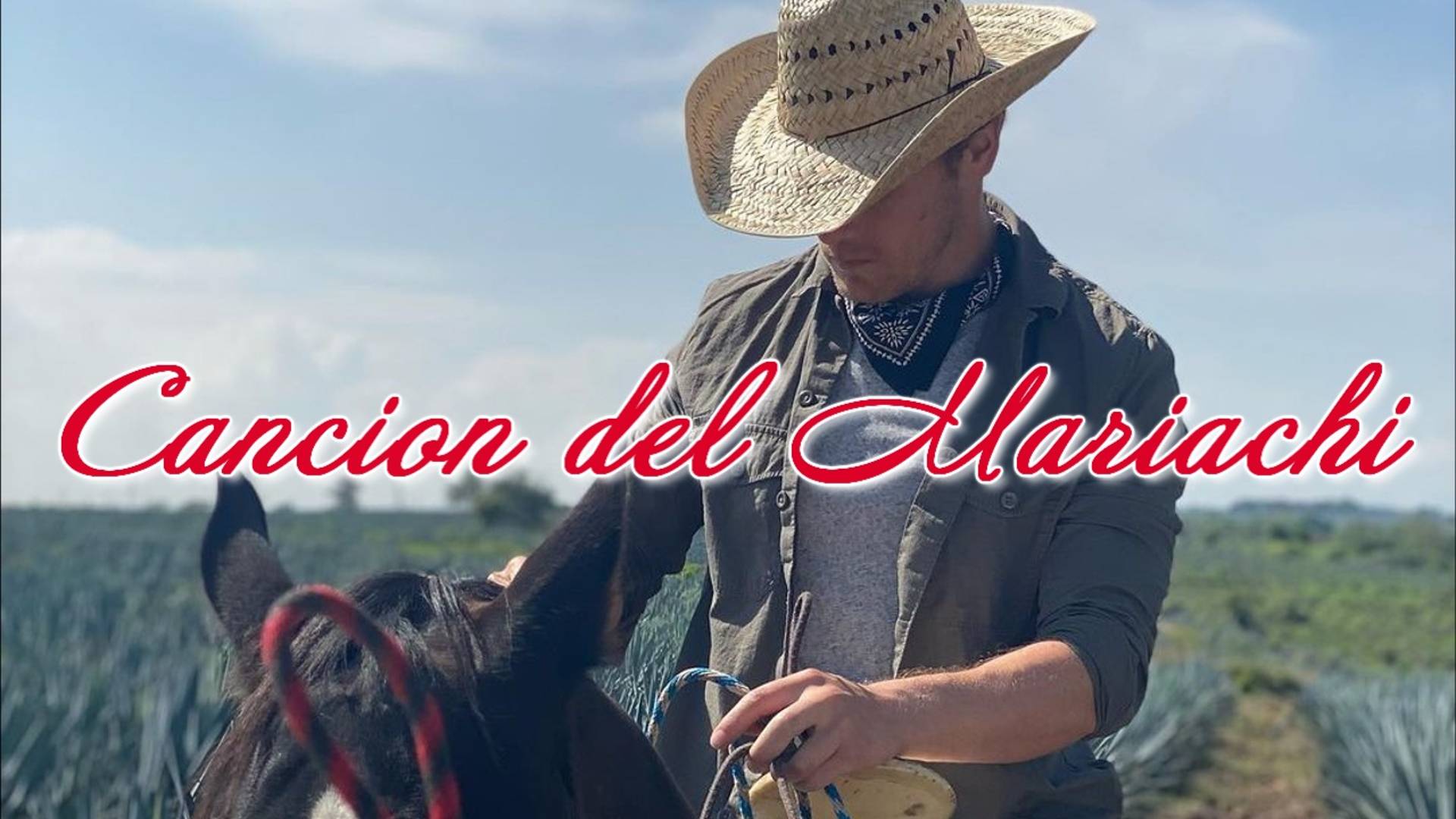 Сэм Хьюэн МАРИАЧИ (Лос Лобос) Sam Heughan CANCION DEL MARIACHI (Antonio Banderas and Los Lobos)