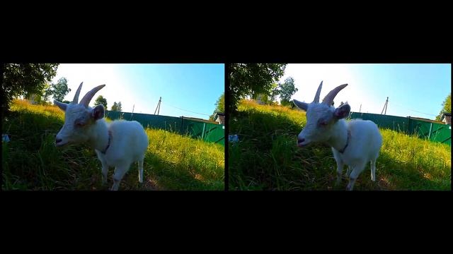 липецк елатьма деревягино 3d смотреть онлайн