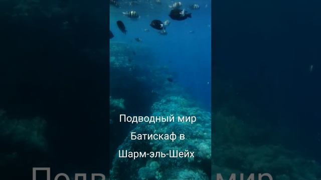 морская прогулка Шарм-эль-Шейх, осень 2022