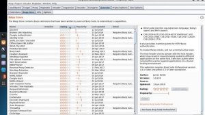 Burp Suite 2: Adding Extensions