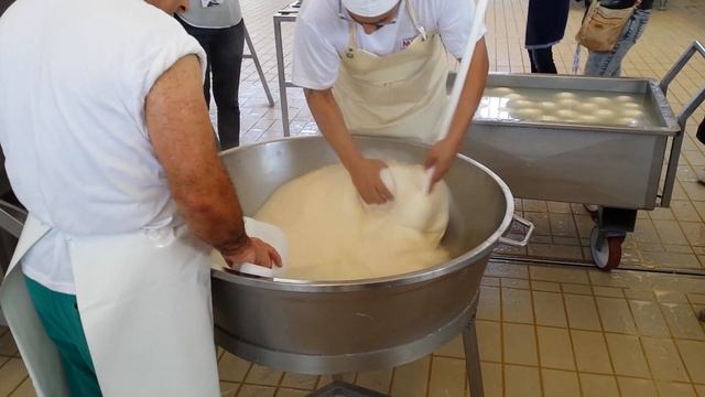 Процесс приготовления сыра моцарелла