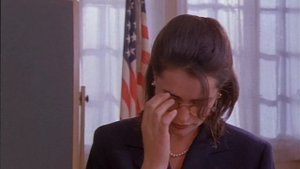 Няньки   The Babysitters 1994г David Paul & Peter Paul