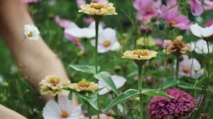 Cottage Garden Cut Flower Patch Tour 💐 13 Amazing Blooms for a Fantasy Bouquet