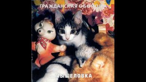 Гражданская оборона "Умереть молодым" (cover)