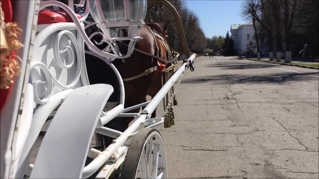 Прогулка в Центре на Карете 8 мая 2022 г ⛲ смотреть онлайн