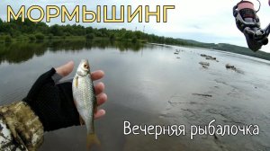 Мормышинг. Вечерняя рыбалочка с MATAGI TWA 662 XUL