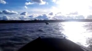 флагман 420 43км