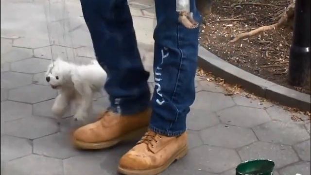 КУКОЛЬНЫЙ ДЕД 3+ собачка . ( МАРИОНЕТКИ) !