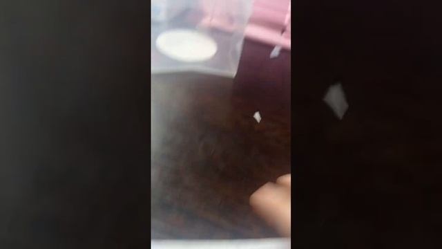 тутор на когти #когтиизбумаги смотреть онлайн