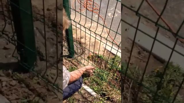 Монтаж забора... смотреть онлайн