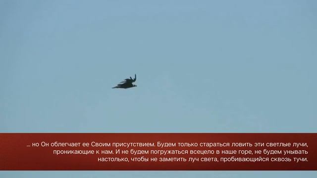 18 сентября БОЖИЕ УТЕШЕНИЕ. День за днём. Читает Виктор Золотоног.mp4