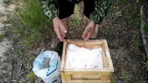 Сухой посол рыбы (Колодка)