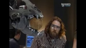 Звериные баталии дальневосточный тигр против сибирского медведя.