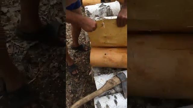 Снятие бересты смотреть онлайн