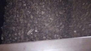 чем топить? сибуголь или красресурс семечка