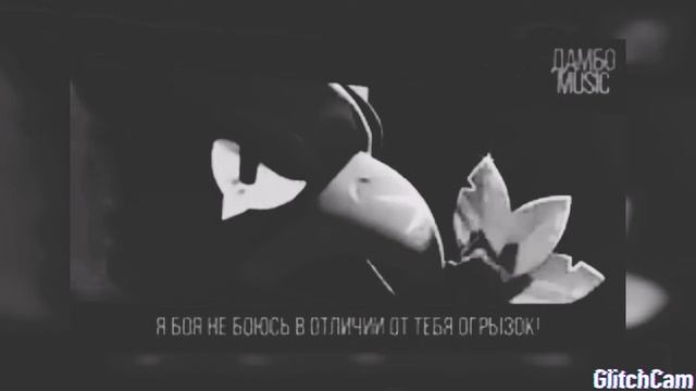 Фото ворона смотреть онлайн