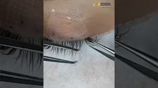 мокрый эффект за одну минуту смотреть онлайн