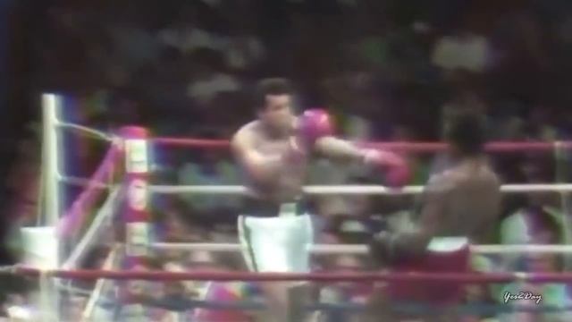 Little Dark Age - Boxing смотреть онлайн